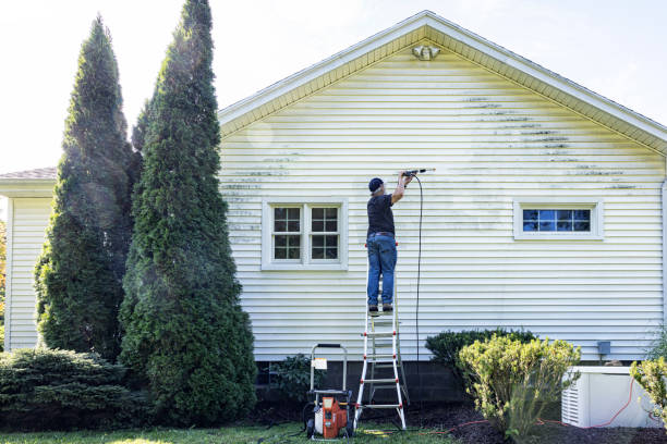 Roof Power Washing Services in Cobden, IL