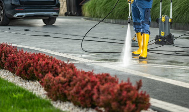 Best Affordable Power Washing  in Cobden, IL