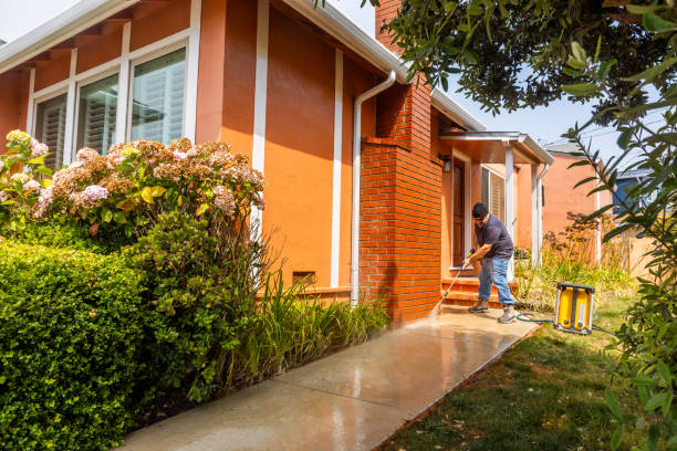 Best Best Pressure Washing Companies  in Cobden, IL